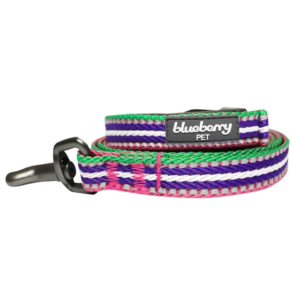 3M Reflective Dog Leash with Neoprene Padded Handle in Multi-colored Stripes