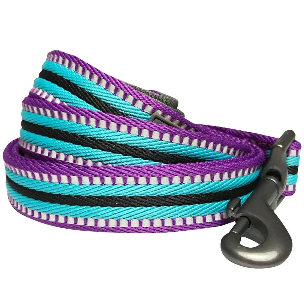 3M Reflective Dog Leash with Neoprene Padded Handle in Multi-colored Stripes