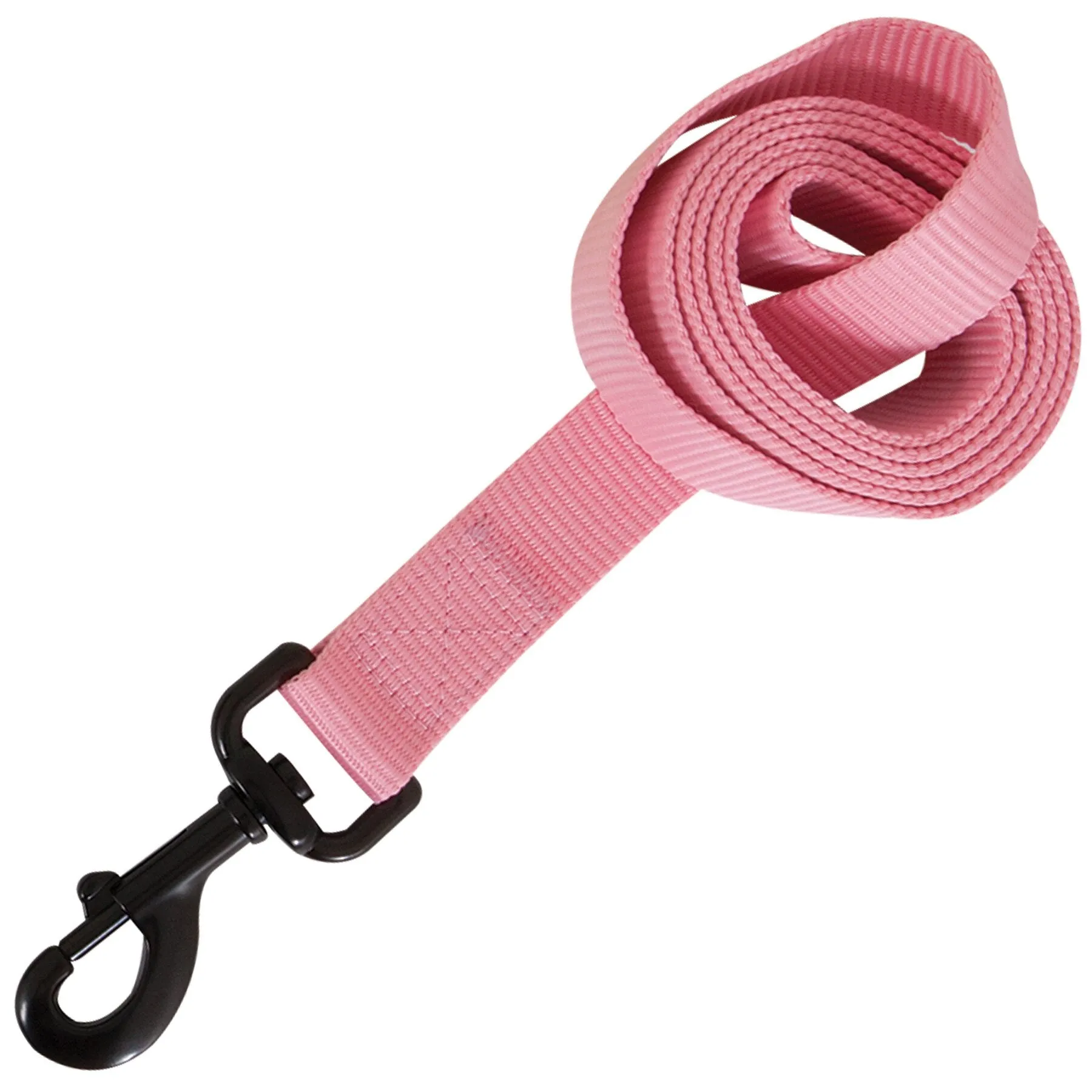 Aspen Pet Glow In The Dark Leash