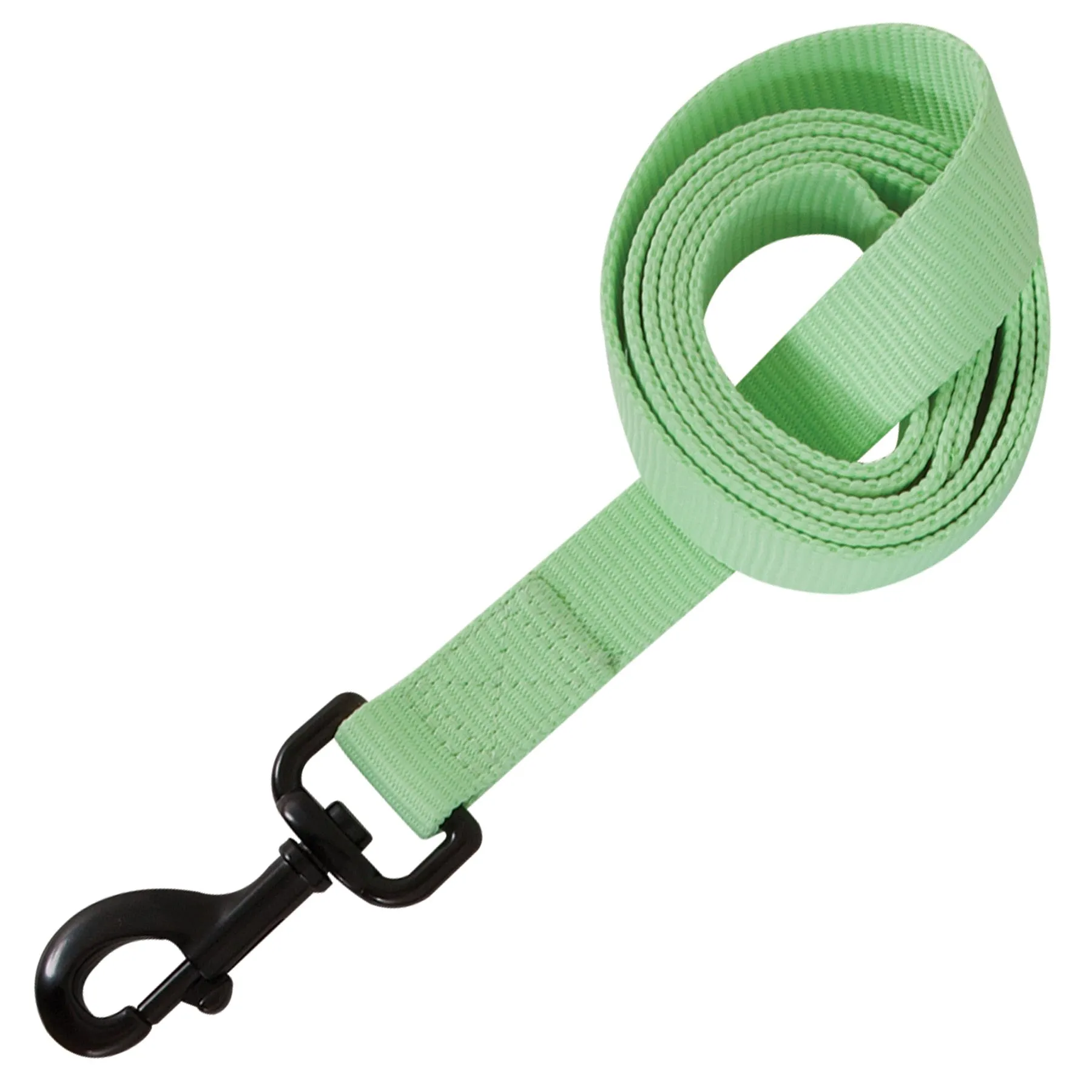 Aspen Pet Glow In The Dark Leash