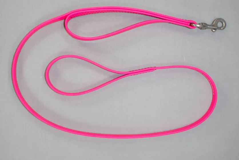 BioThane Dual Handle Leash