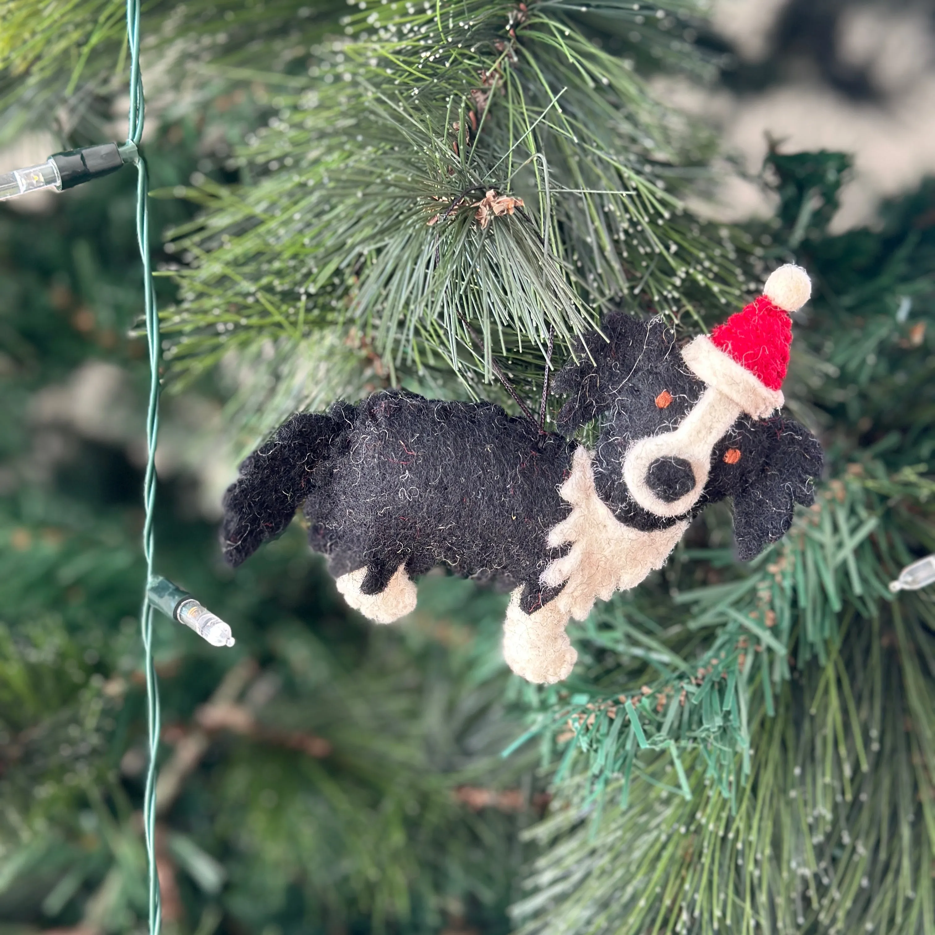 Border Collie Christmas decorations