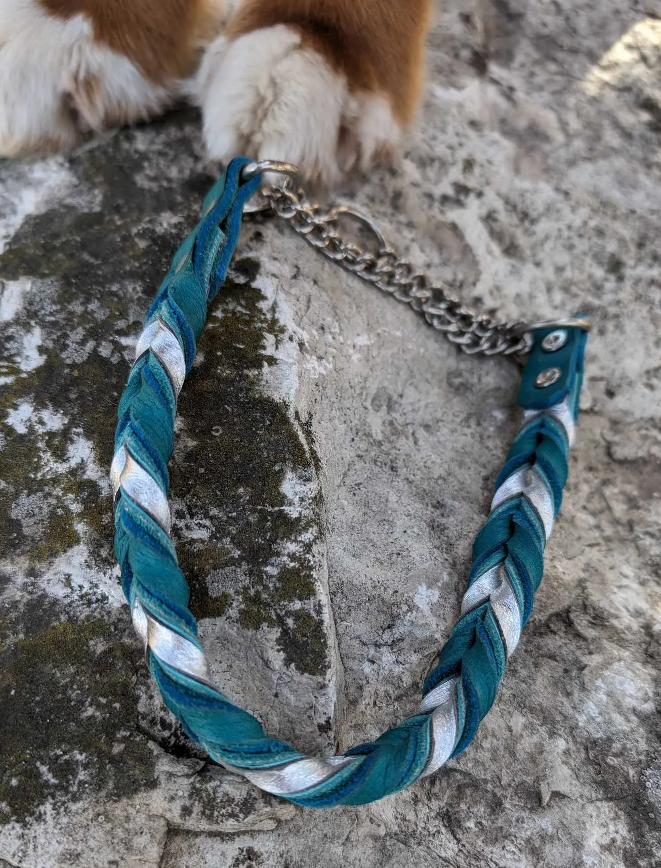 Braided Metallic Leather Non Adjustable Martingale Collars