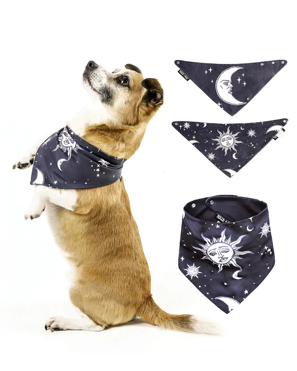 Celestial Pet Bandana - Dog or Cat