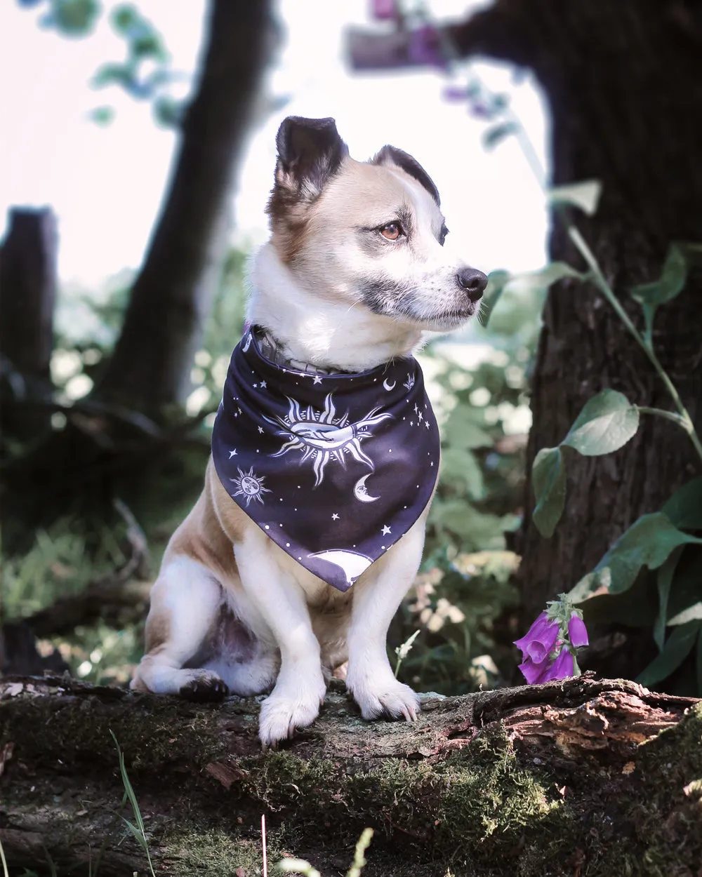 Celestial Pet Bandana - Dog or Cat