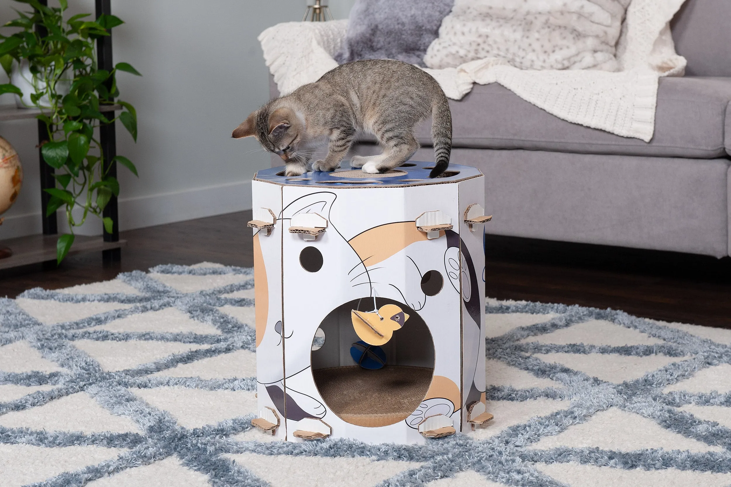 Corrugated House Scratcher with Catnip