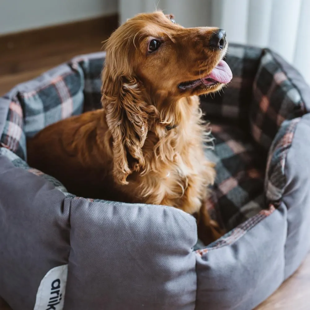 Cuddler Pet Bed