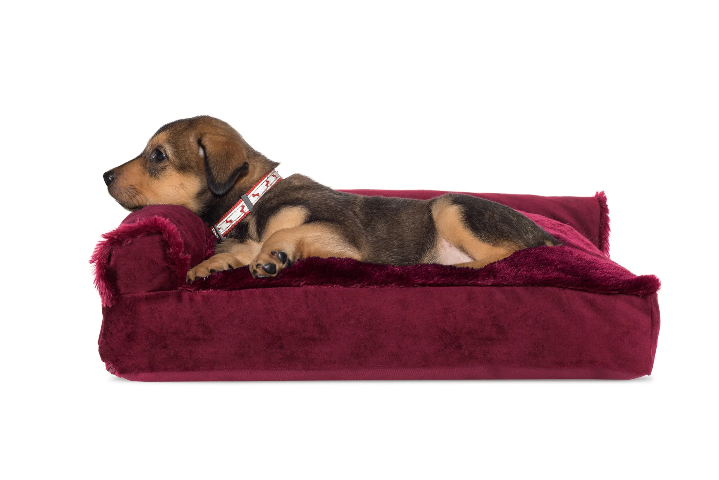 Deluxe Chaise Lounge Dog Bed - Plush & Velvet