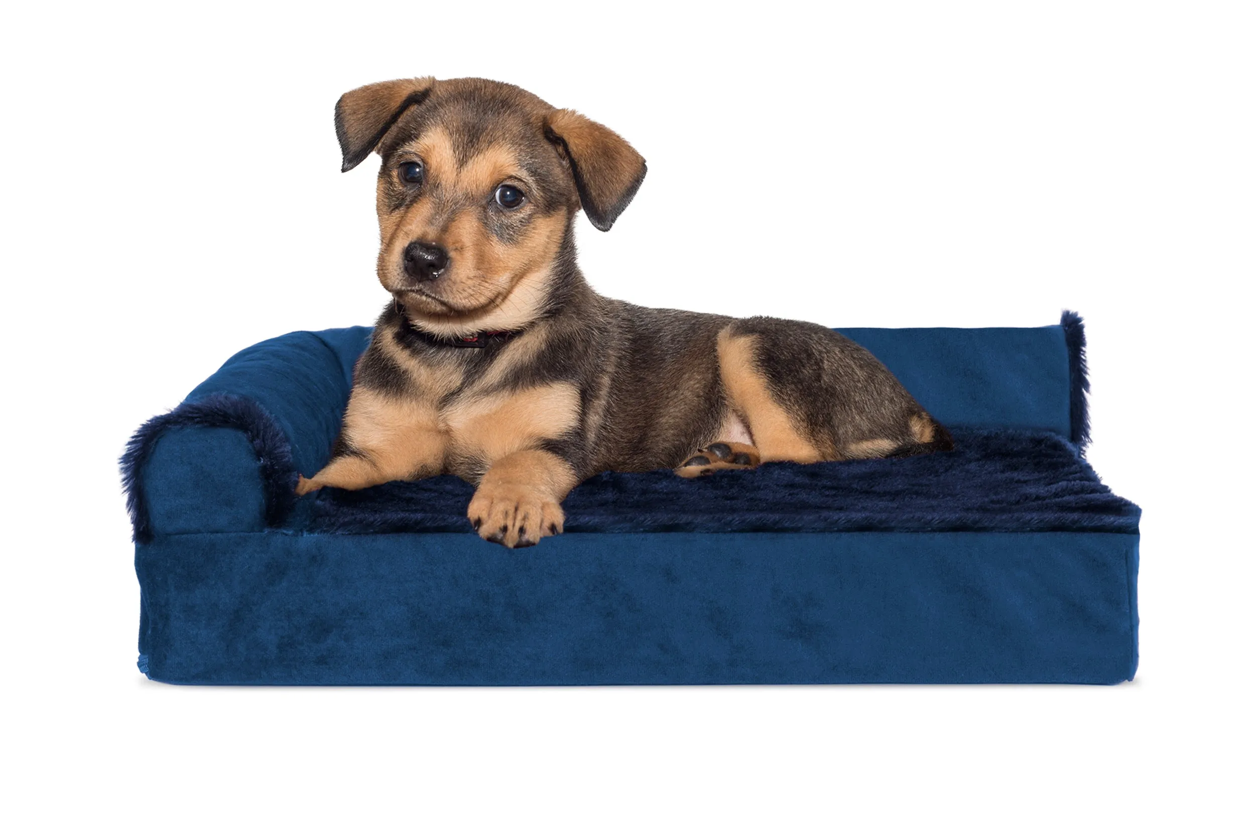 Deluxe Chaise Lounge Dog Bed - Plush & Velvet