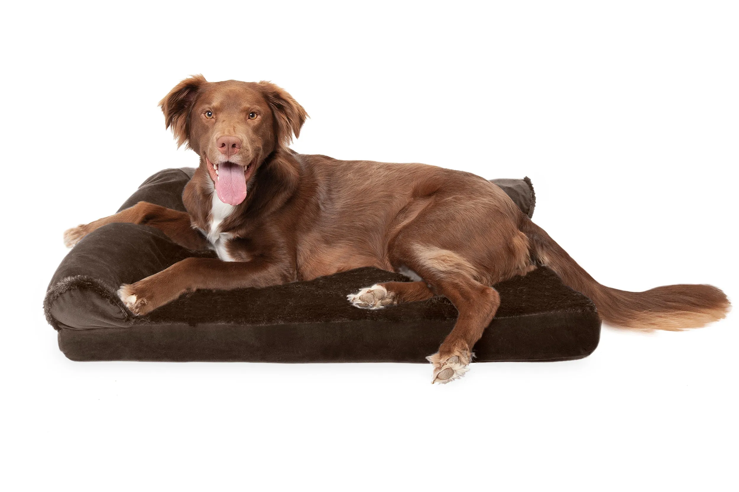 Deluxe Chaise Lounge Dog Bed - Plush & Velvet