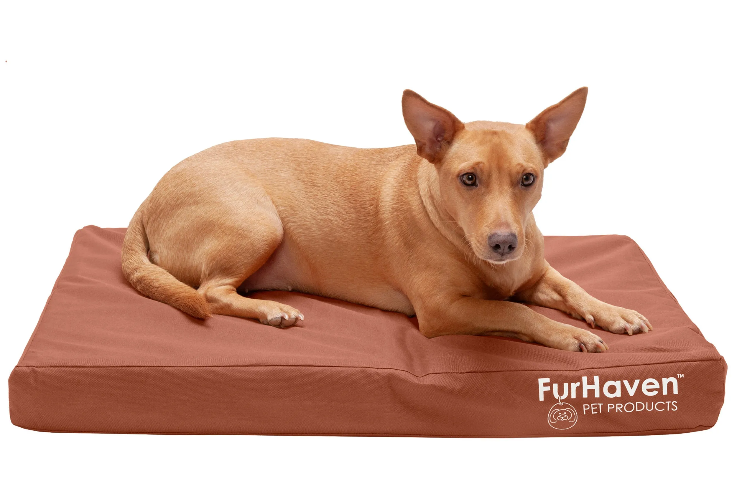 Deluxe Mattress Dog Bed - Indoor/Outdoor Oxford