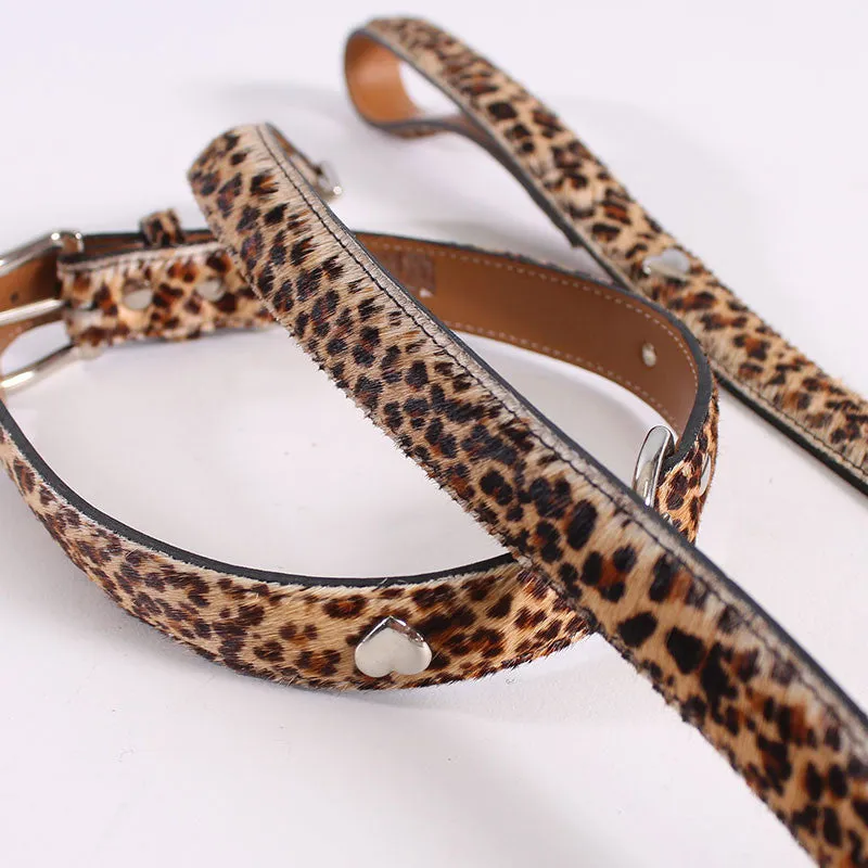 Dog Cheetah Leash & Collar Large