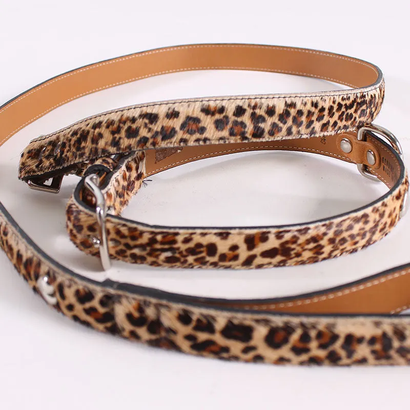 Dog Cheetah Leash & Collar Large