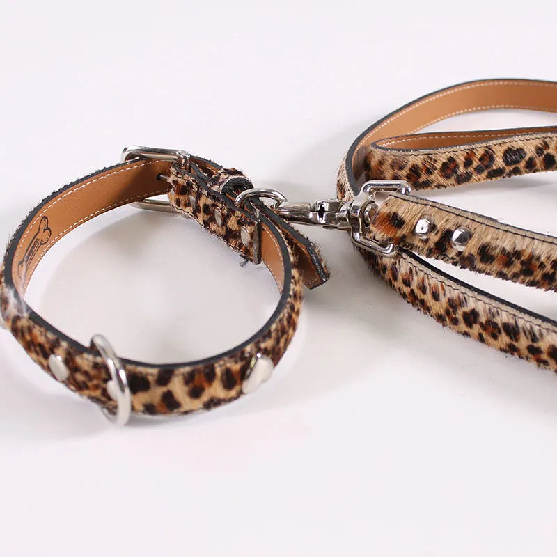 Dog Cheetah Leash & Collar Small