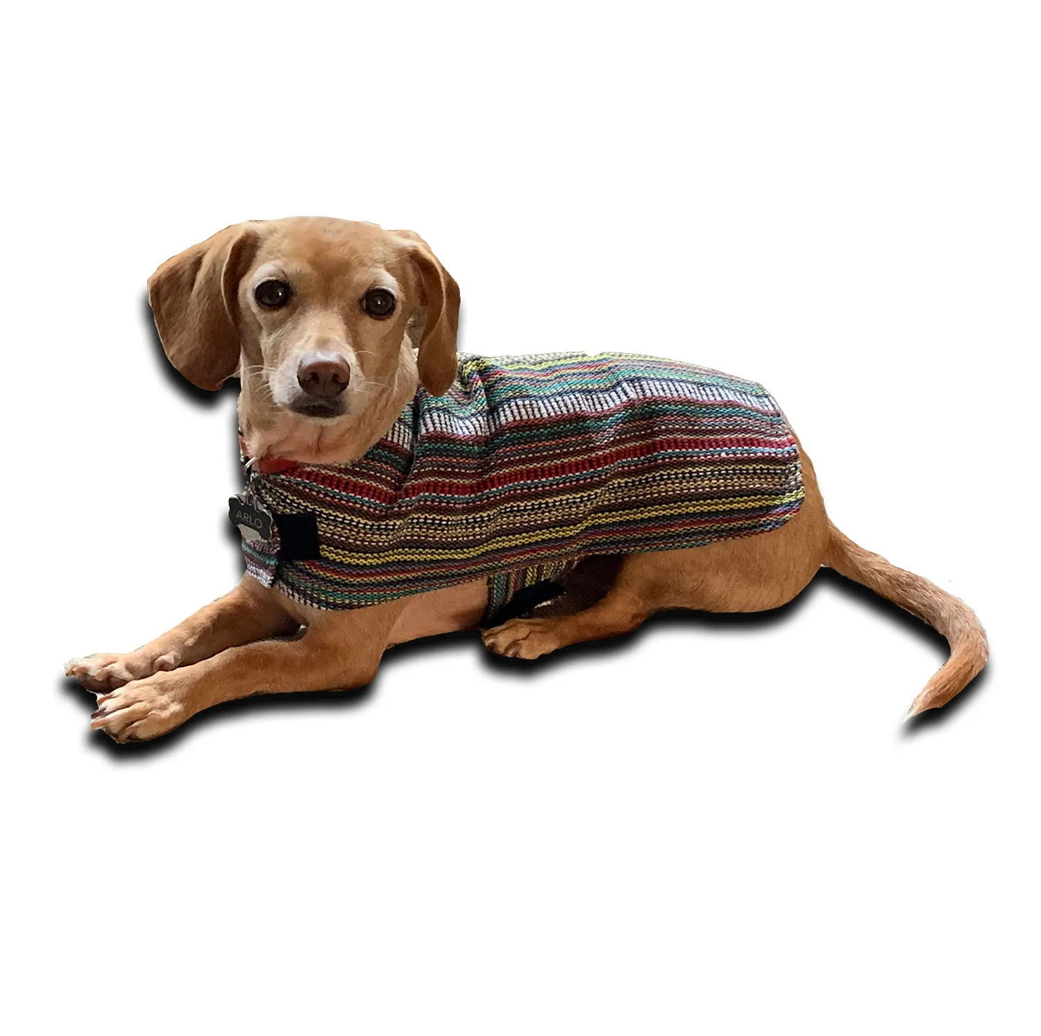 Dog Poncho - Bohemian Multicolor