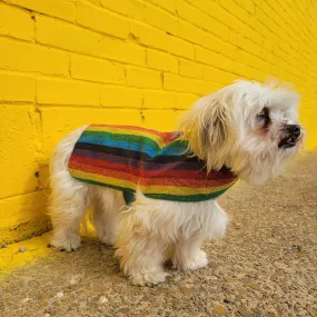 Dog Poncho - Rainbow