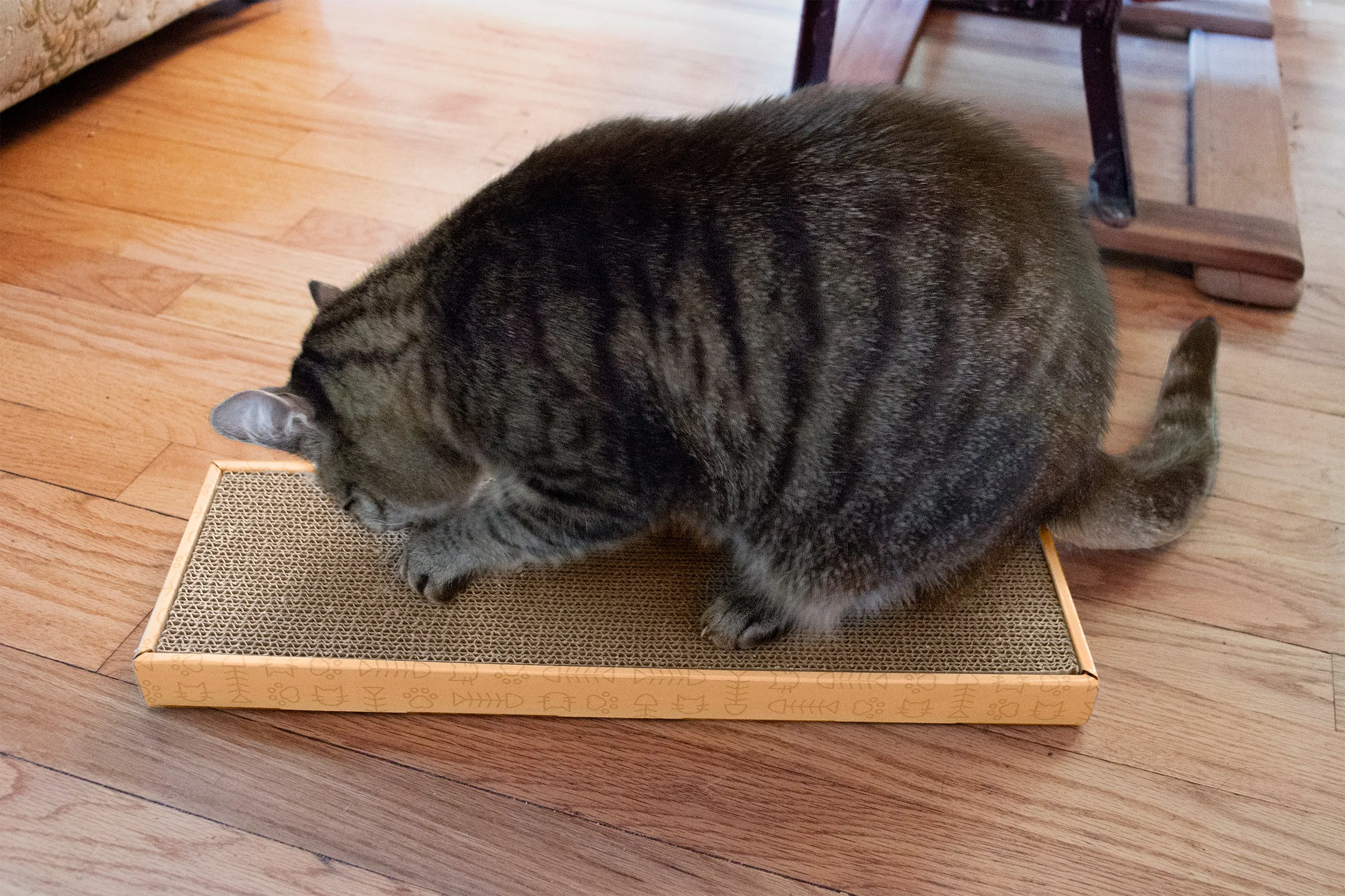 Flat Corrugated Scratcher with Catnip