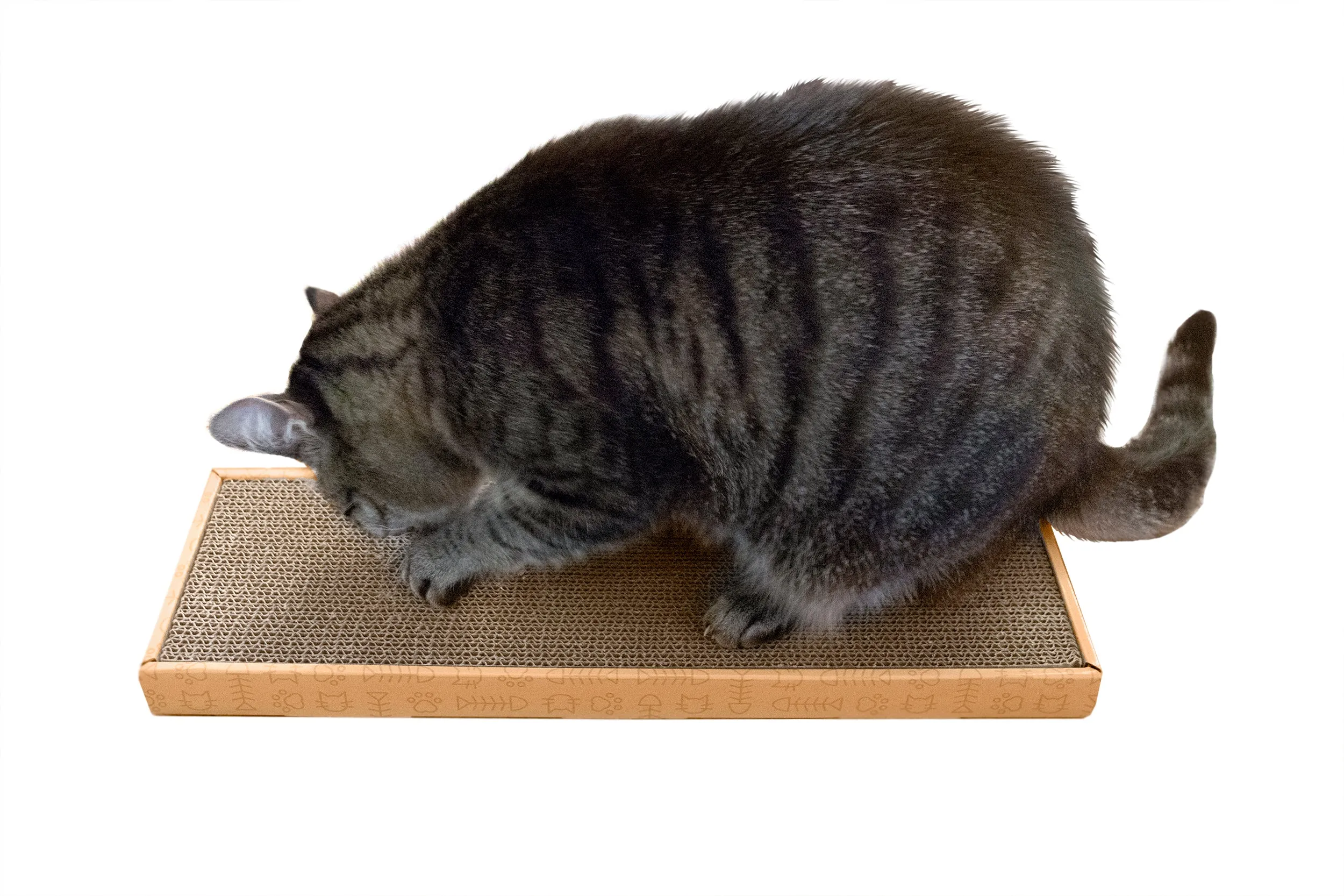 Flat Corrugated Scratcher with Catnip