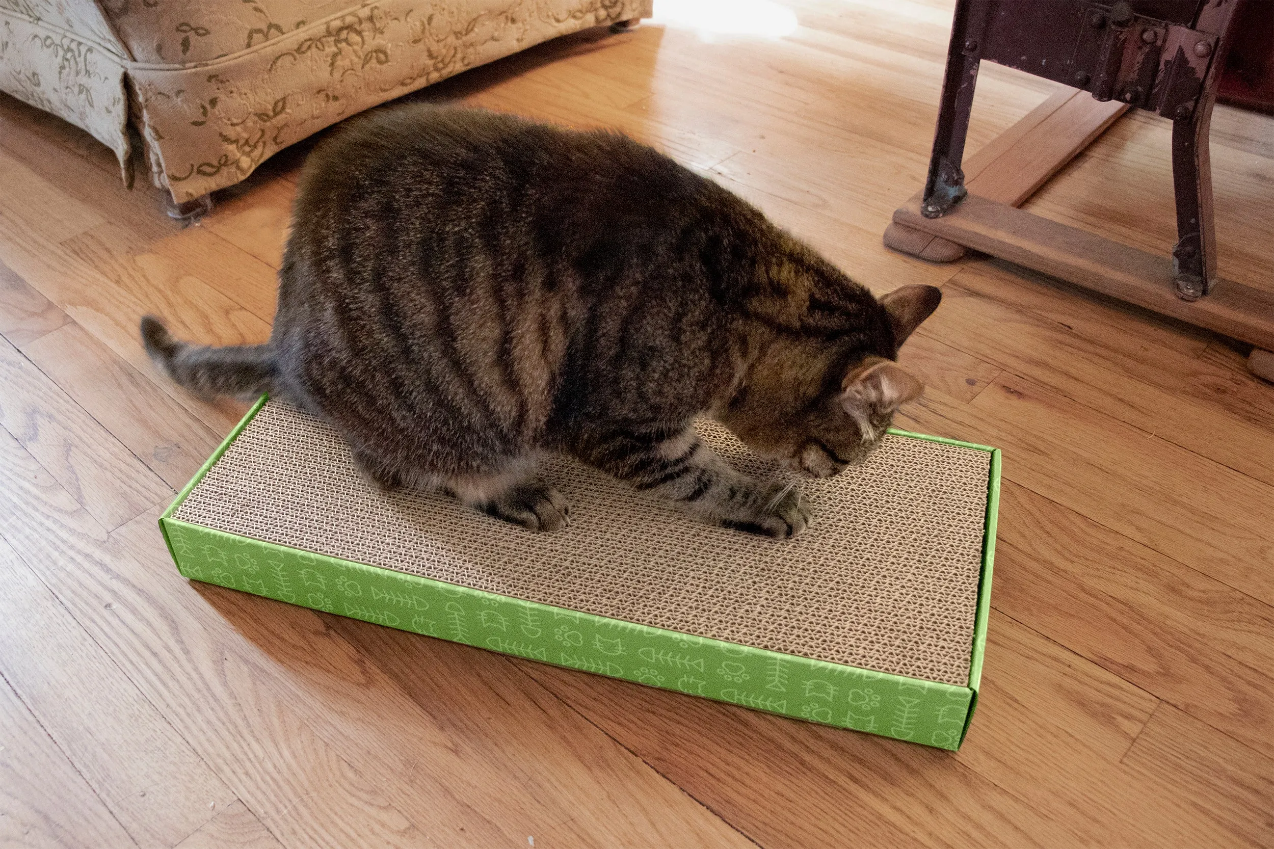 Flat Corrugated Scratcher with Catnip