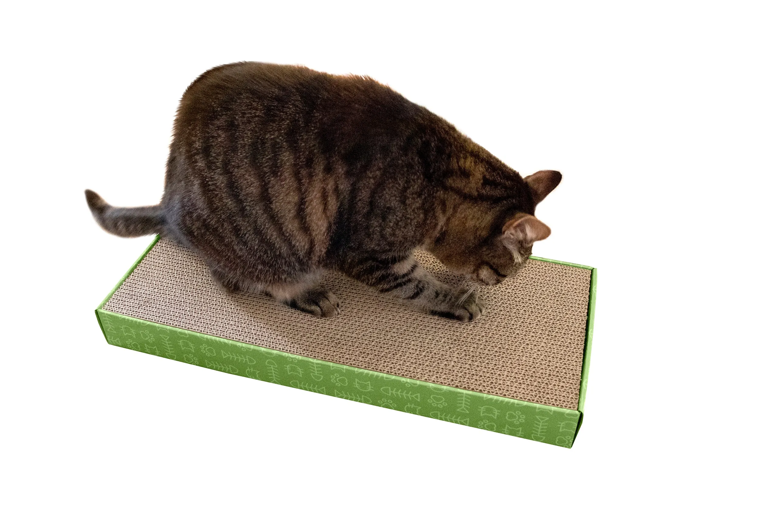 Flat Corrugated Scratcher with Catnip