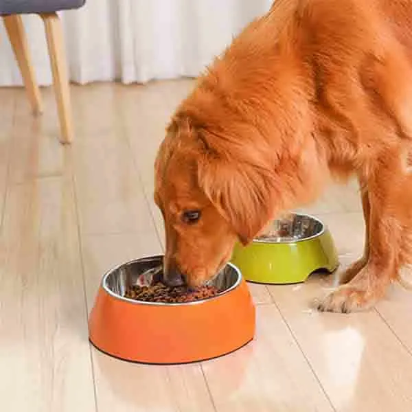 Goofy Tails Stainless Steel Anti Skid Food Bowl for Dogs (Orange)