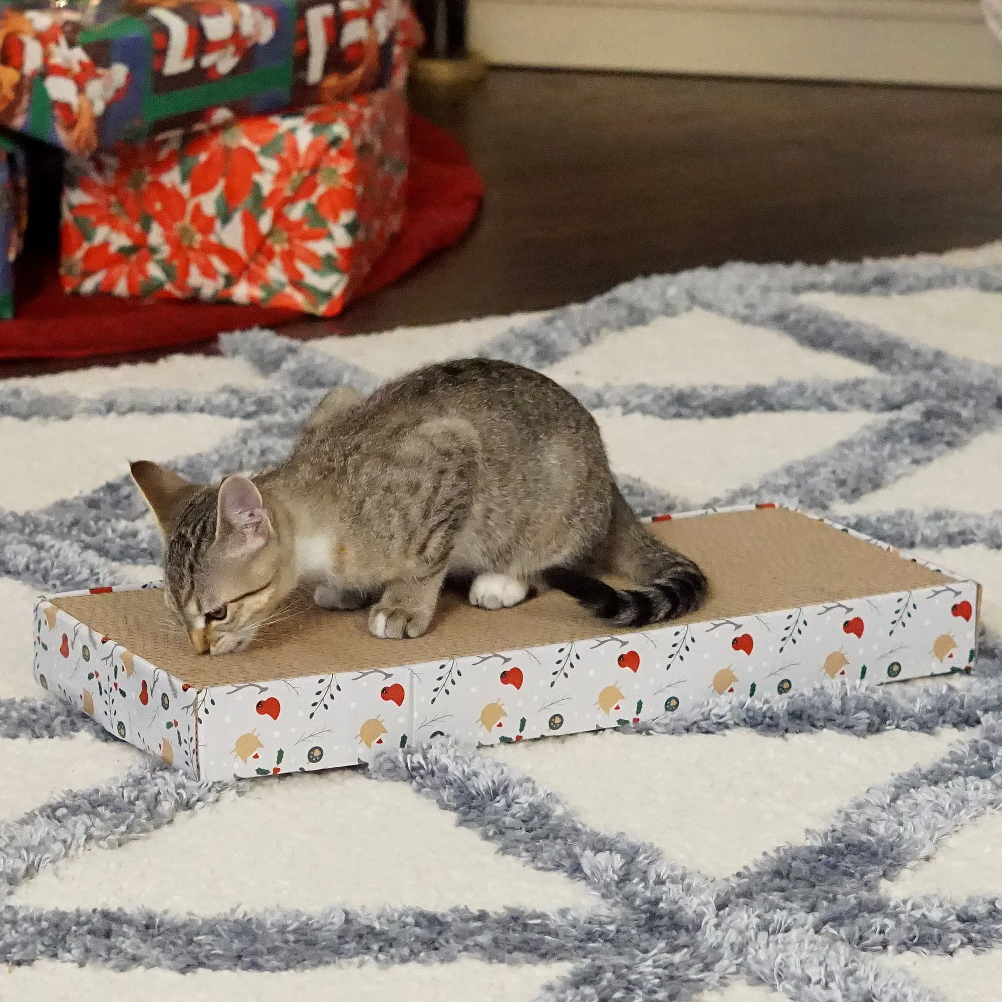 Holiday Celebrations Corrugated Cat Scratchers