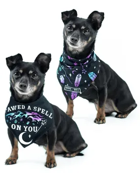 I Pawed a Spell on You Pet Bandana - Dog or Cat