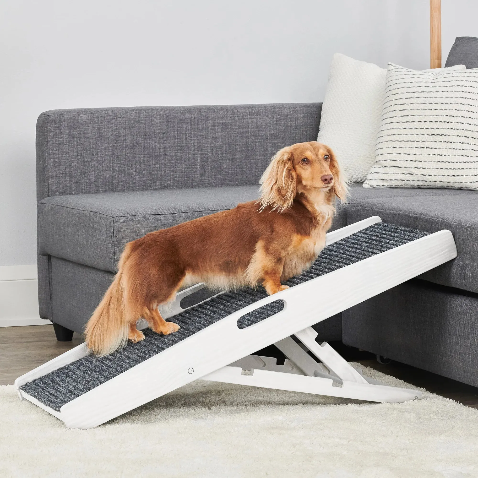 Indoor Pet Ramp