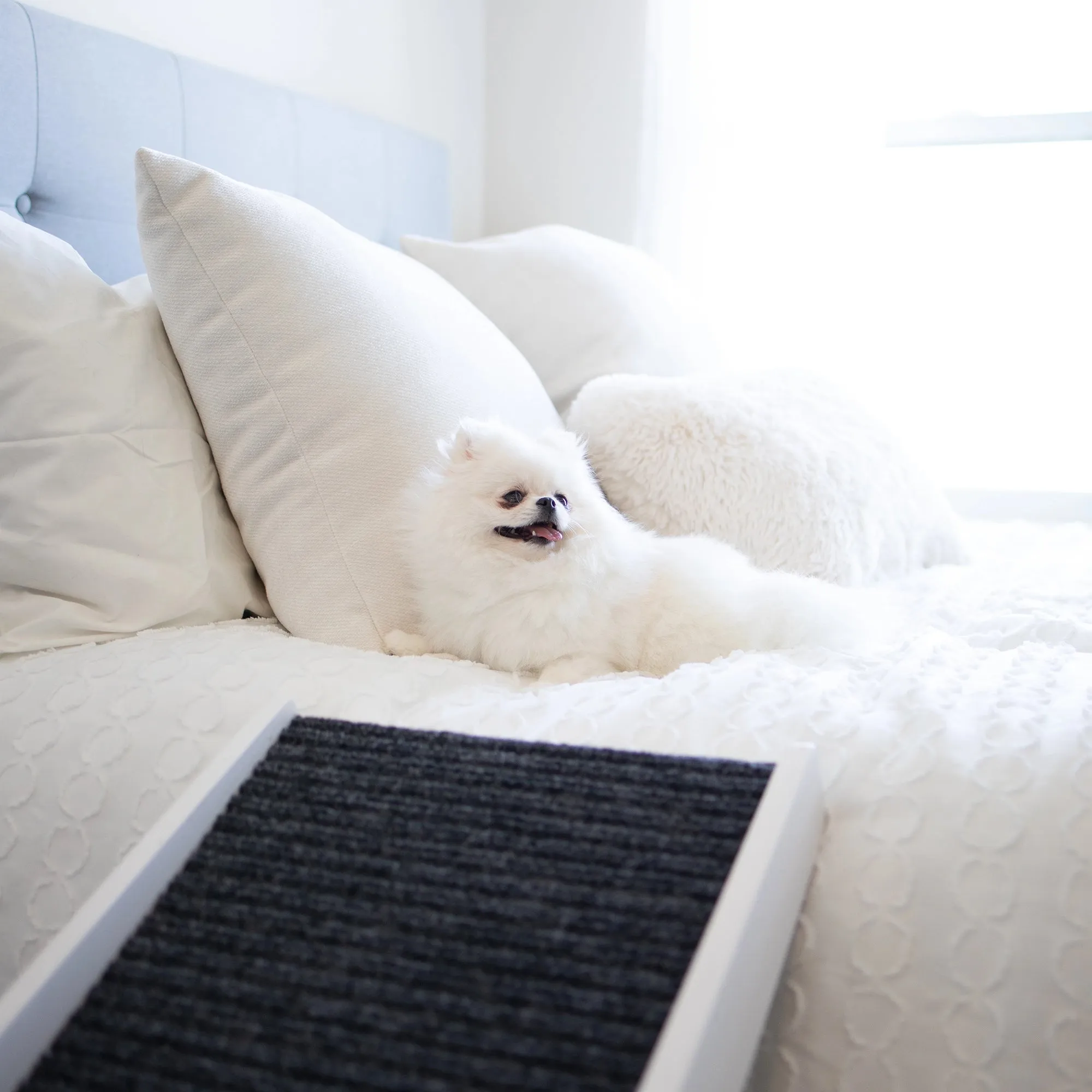 Indoor Pet Ramp