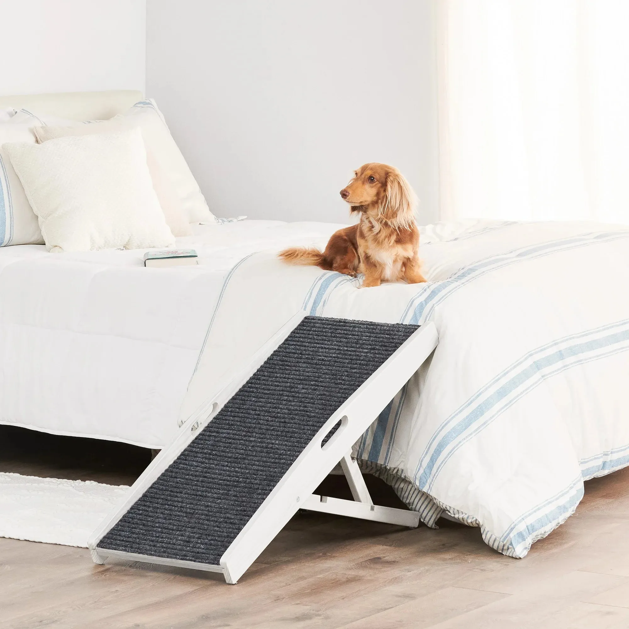 Indoor Pet Ramp