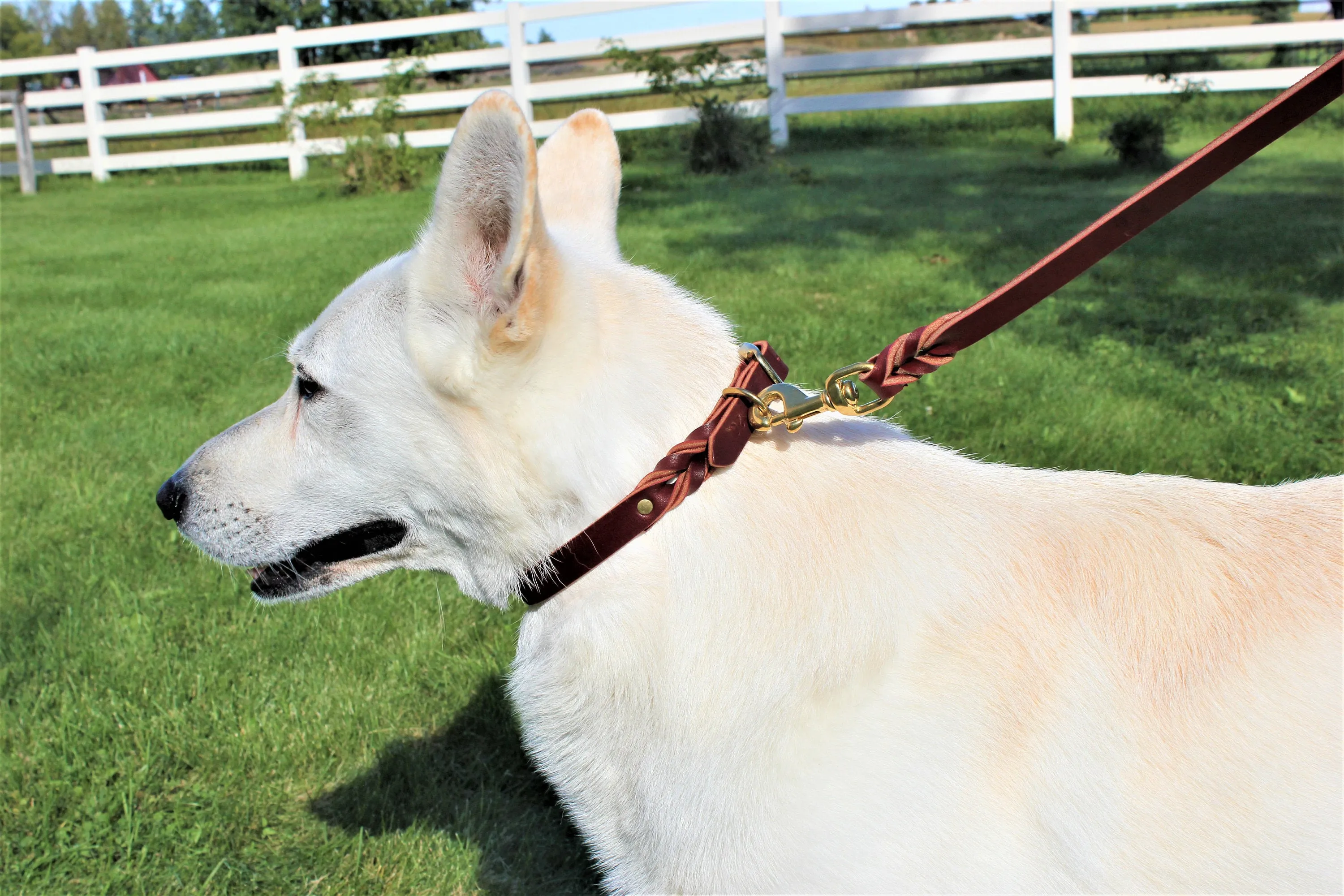 Latigo Leather Leashes 3'