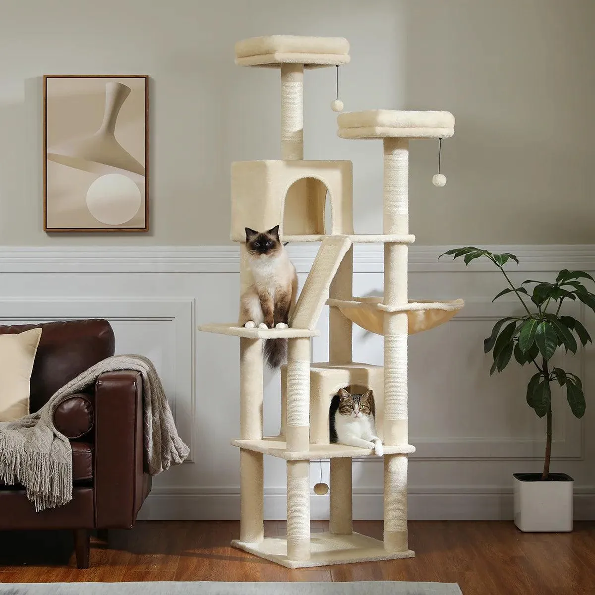 Multi-Level Cat Condo for Large Cats