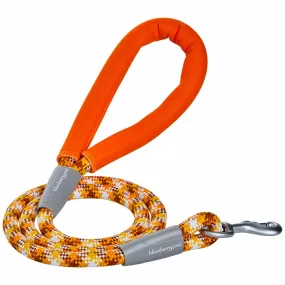 Neoprene Handle Rope Leash in Diagonal Stripe, 4 ft