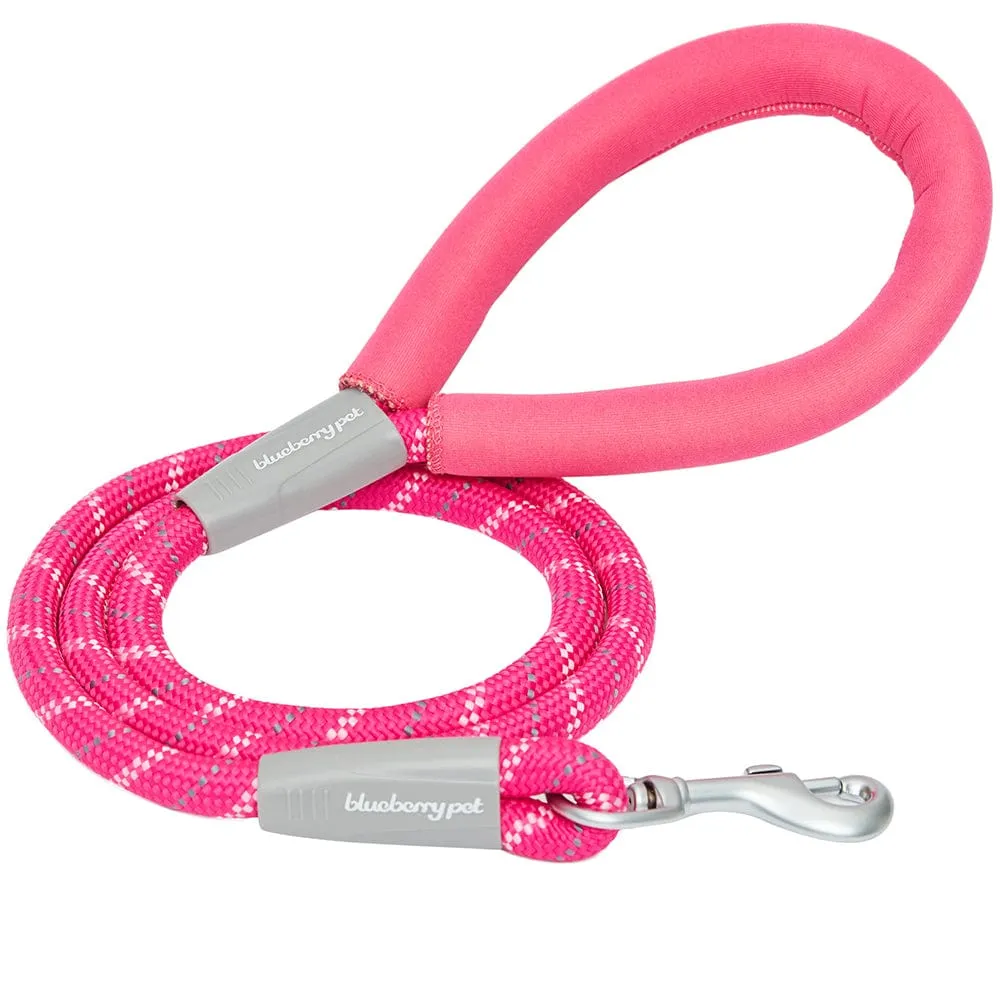 Neoprene Handle Rope Leash in Diagonal Stripe, 4 ft