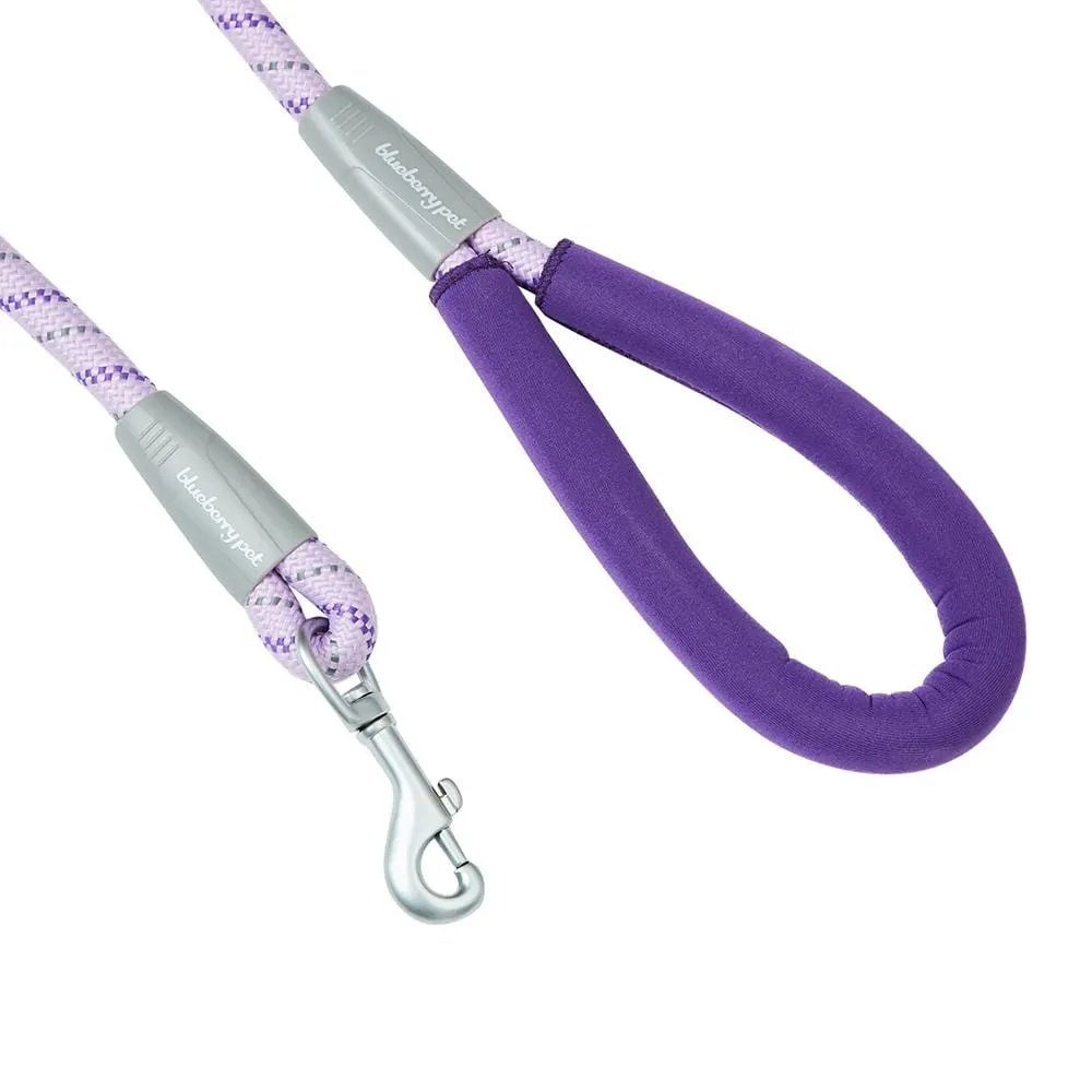 Neoprene Handle Rope Leash in Diagonal Stripe, 4 ft