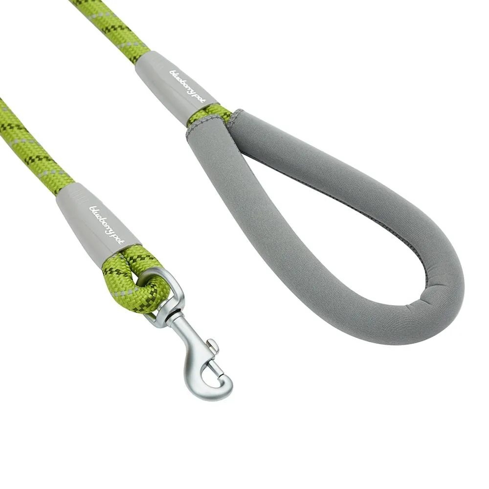 Neoprene Handle Rope Leash in Diagonal Stripe, 4 ft