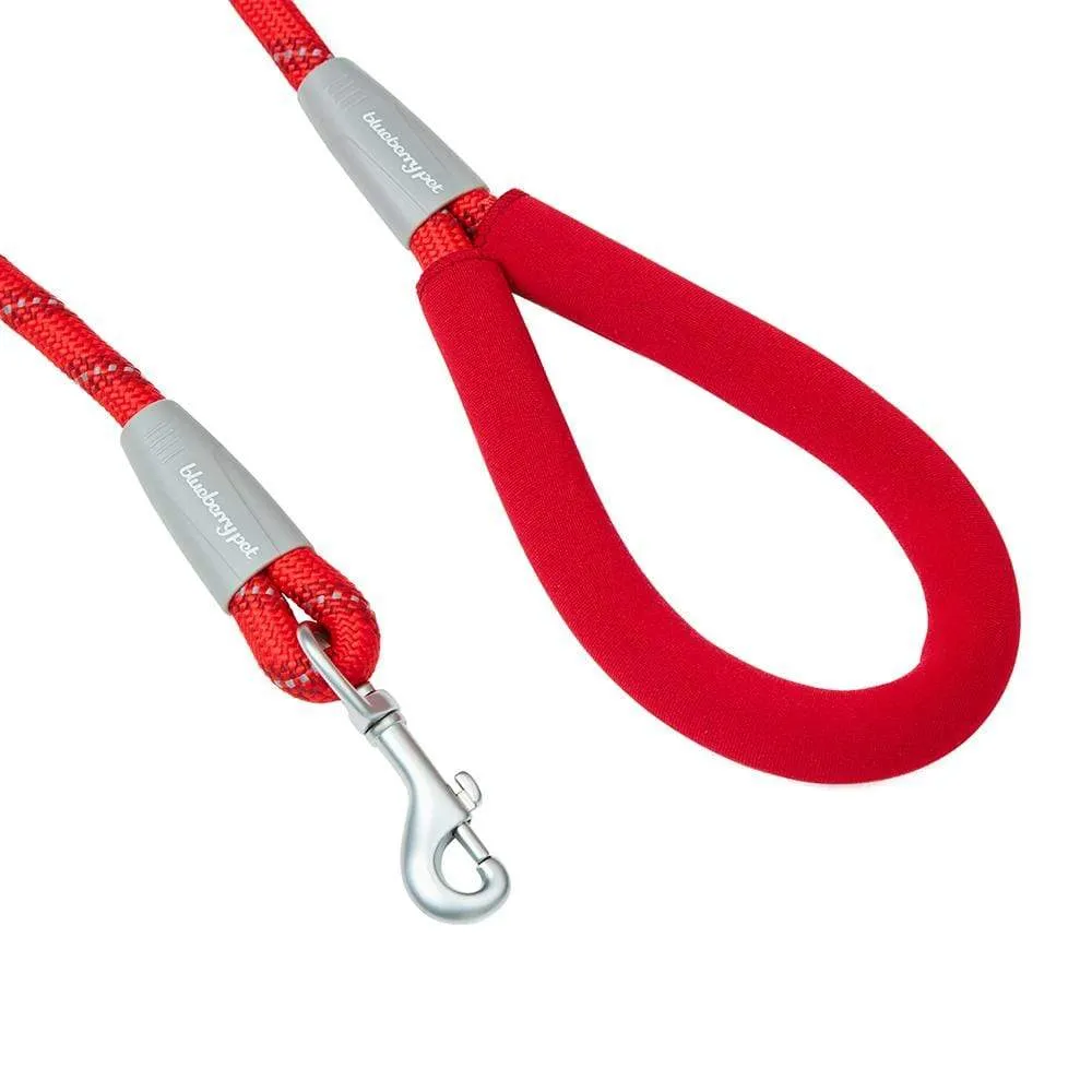 Neoprene Handle Rope Leash in Diagonal Stripe, 4 ft