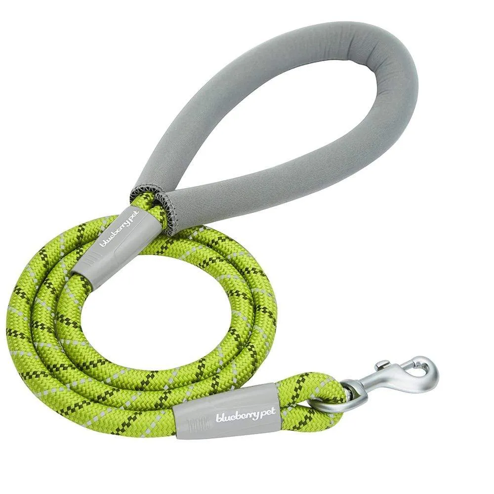 Neoprene Handle Rope Leash in Diagonal Stripe, 4 ft