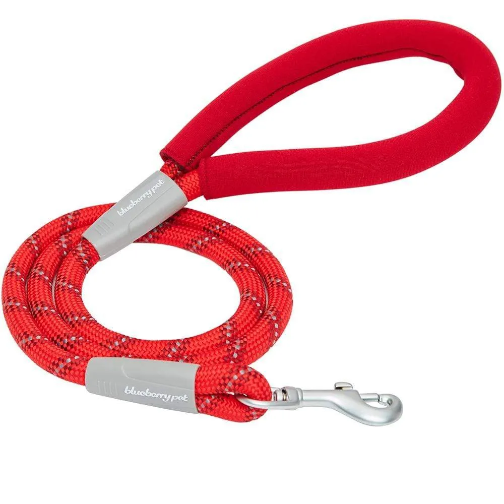 Neoprene Handle Rope Leash in Diagonal Stripe, 4 ft