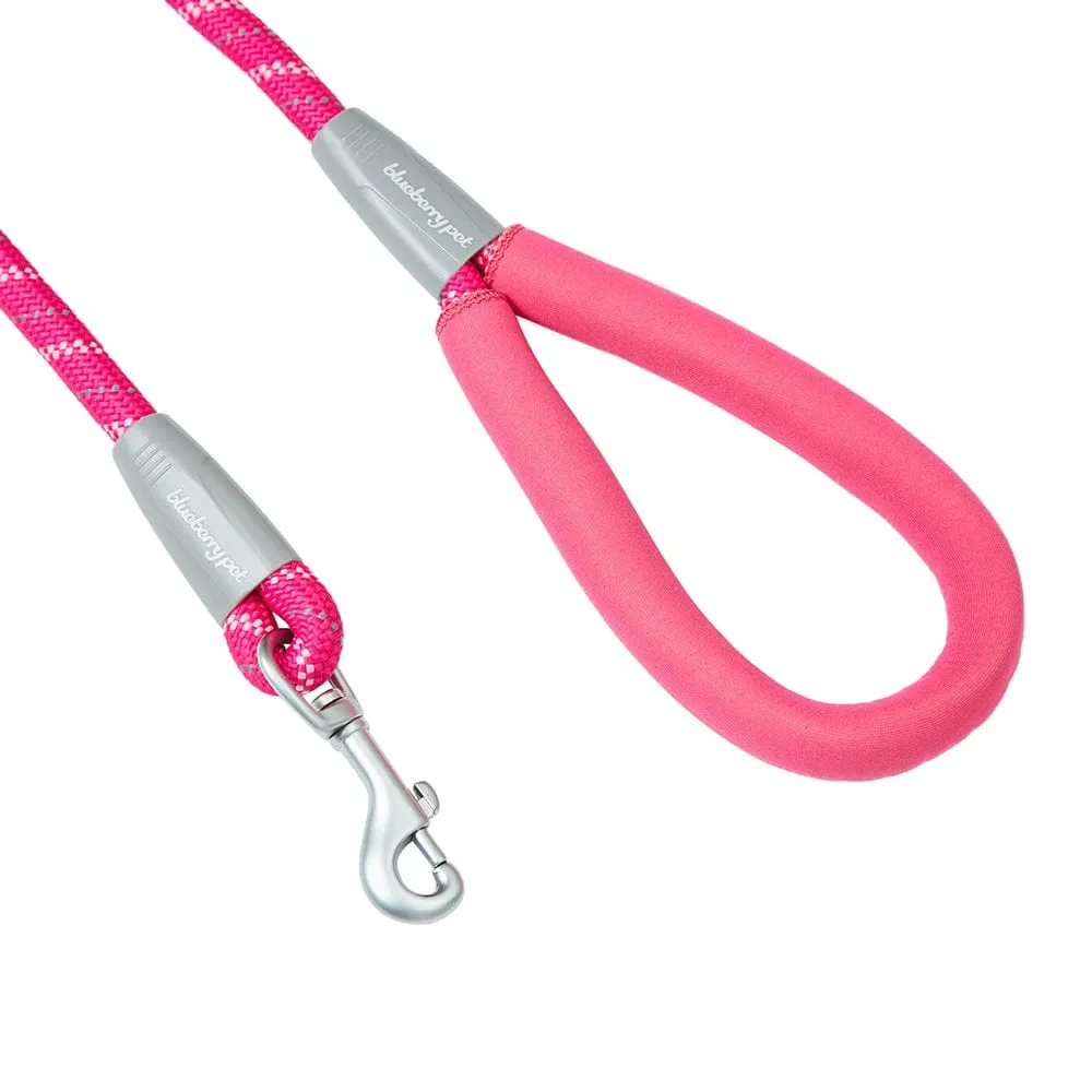 Neoprene Handle Rope Leash in Diagonal Stripe, 4 ft