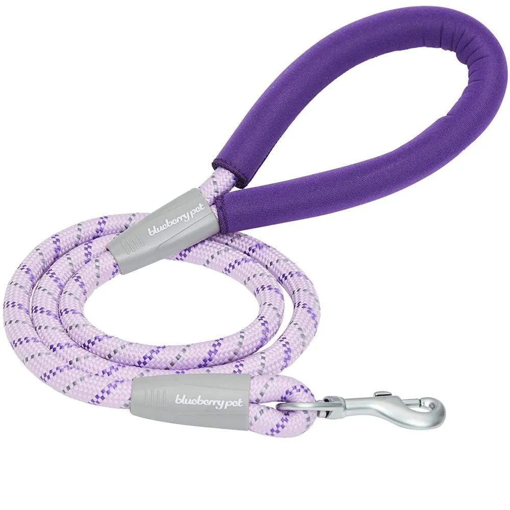 Neoprene Handle Rope Leash in Diagonal Stripe, 4 ft