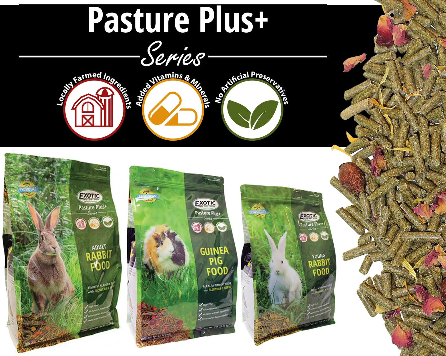 Pasture Plus   Adult Rabbit Food