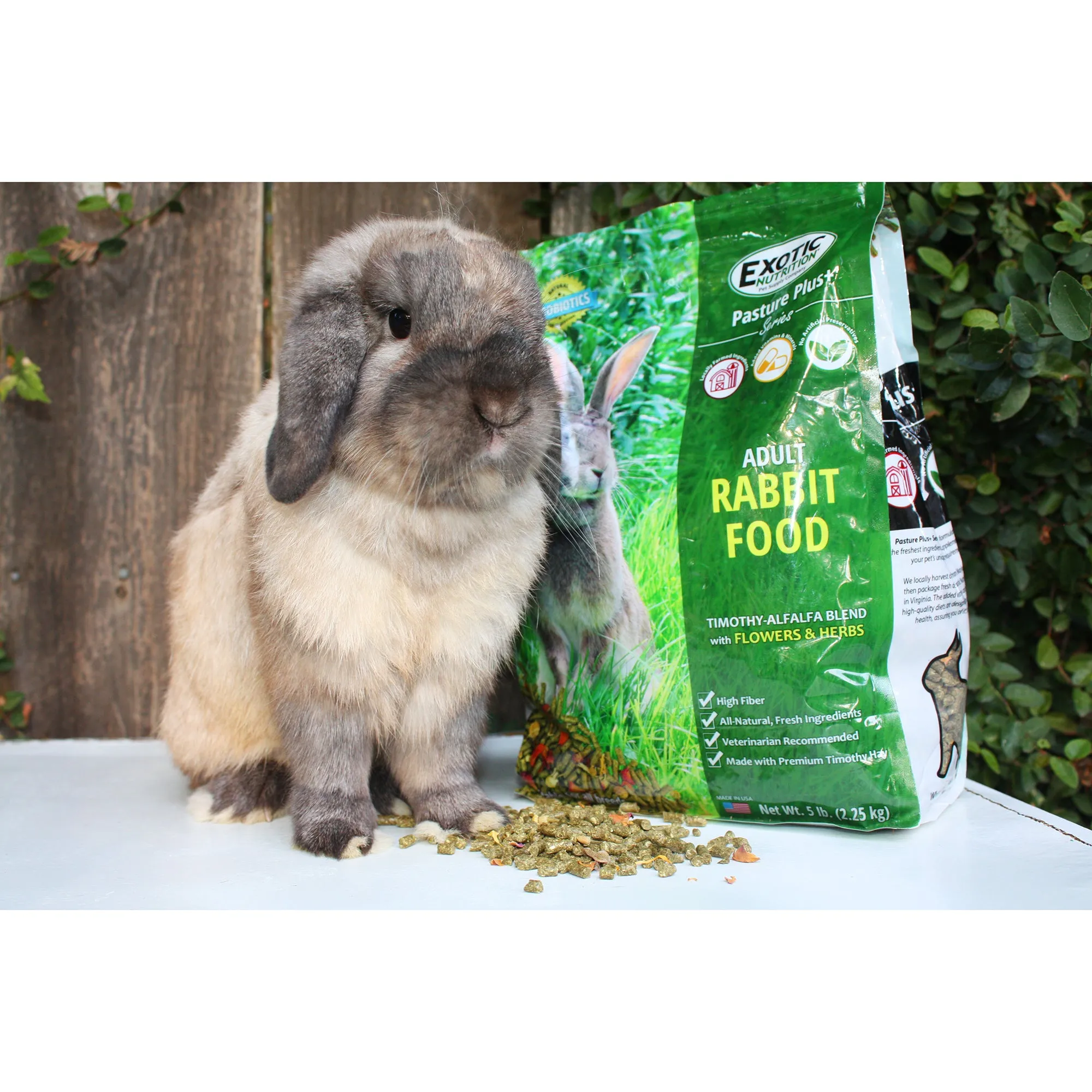 Pasture Plus   Adult Rabbit Food