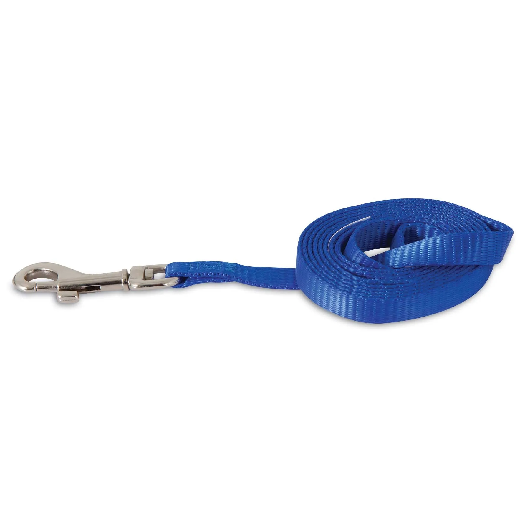 Petmate Nylon Standard Core Dog Lead