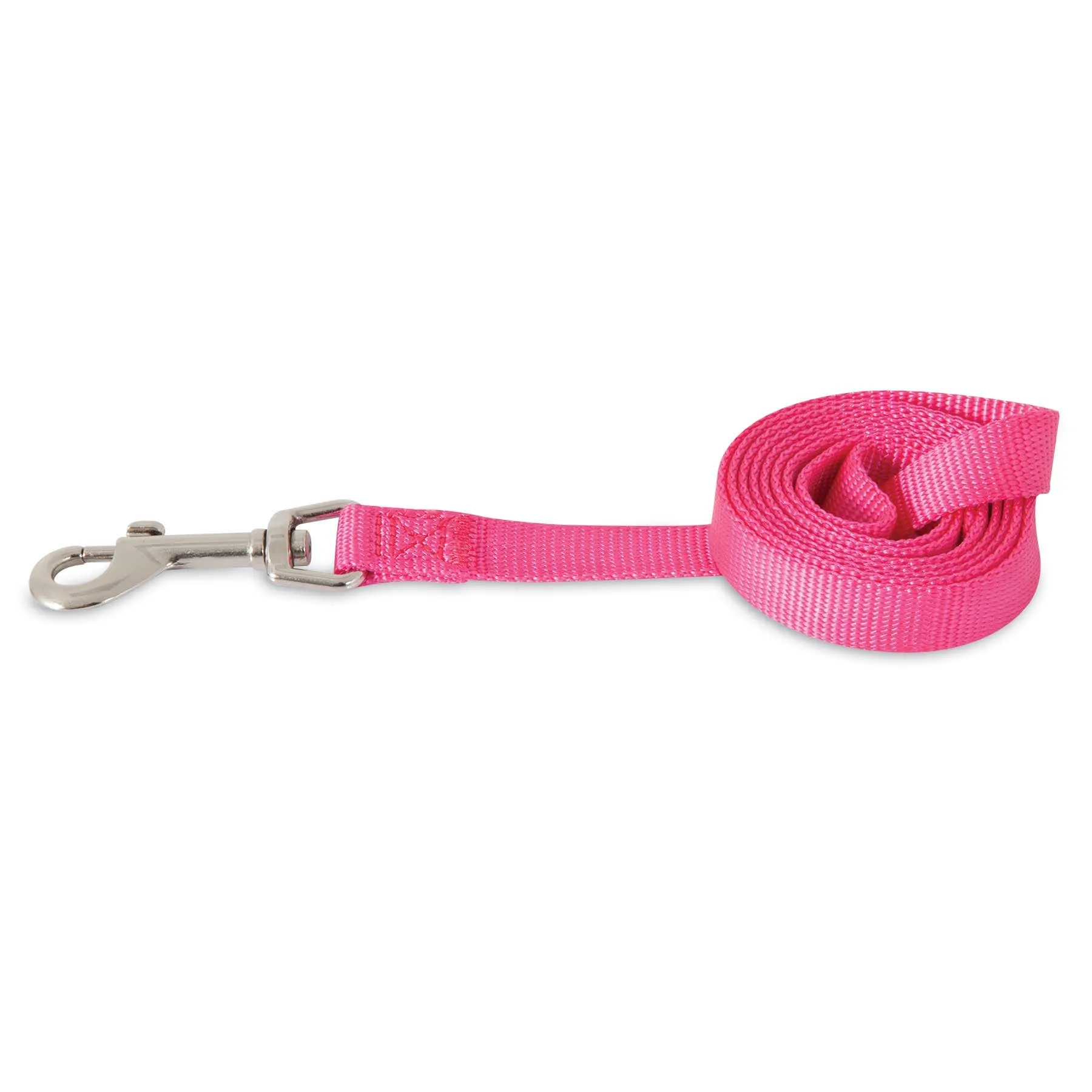 Petmate Nylon Standard Core Dog Lead