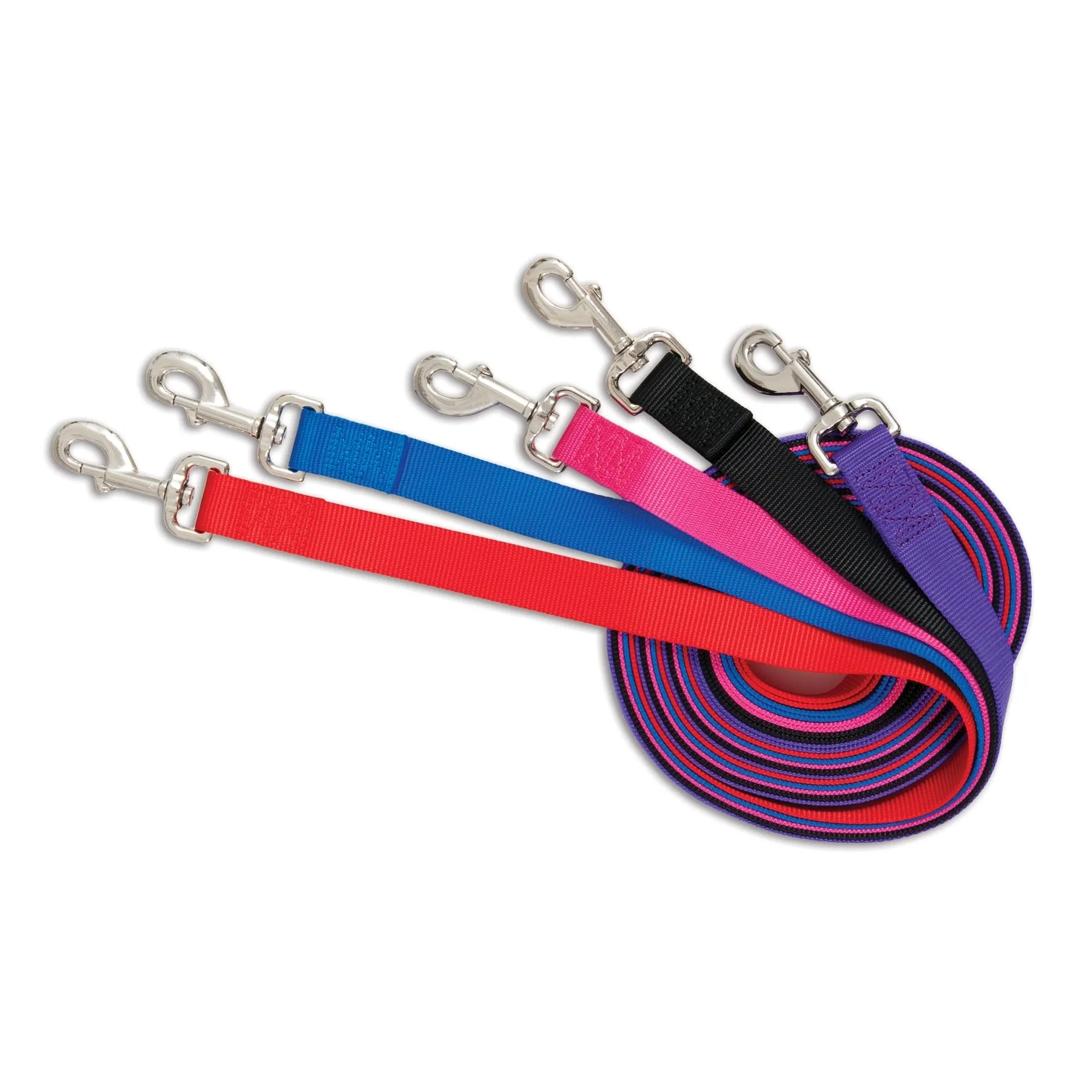 Petmate Standard Core Nylon Dog Leash