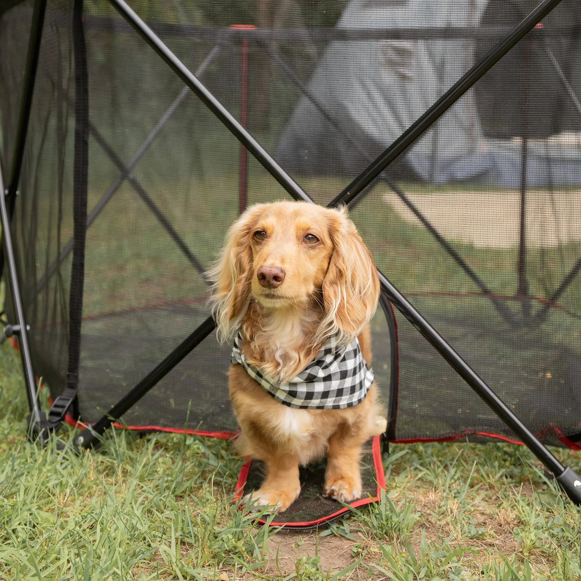 Portable Pet Pen