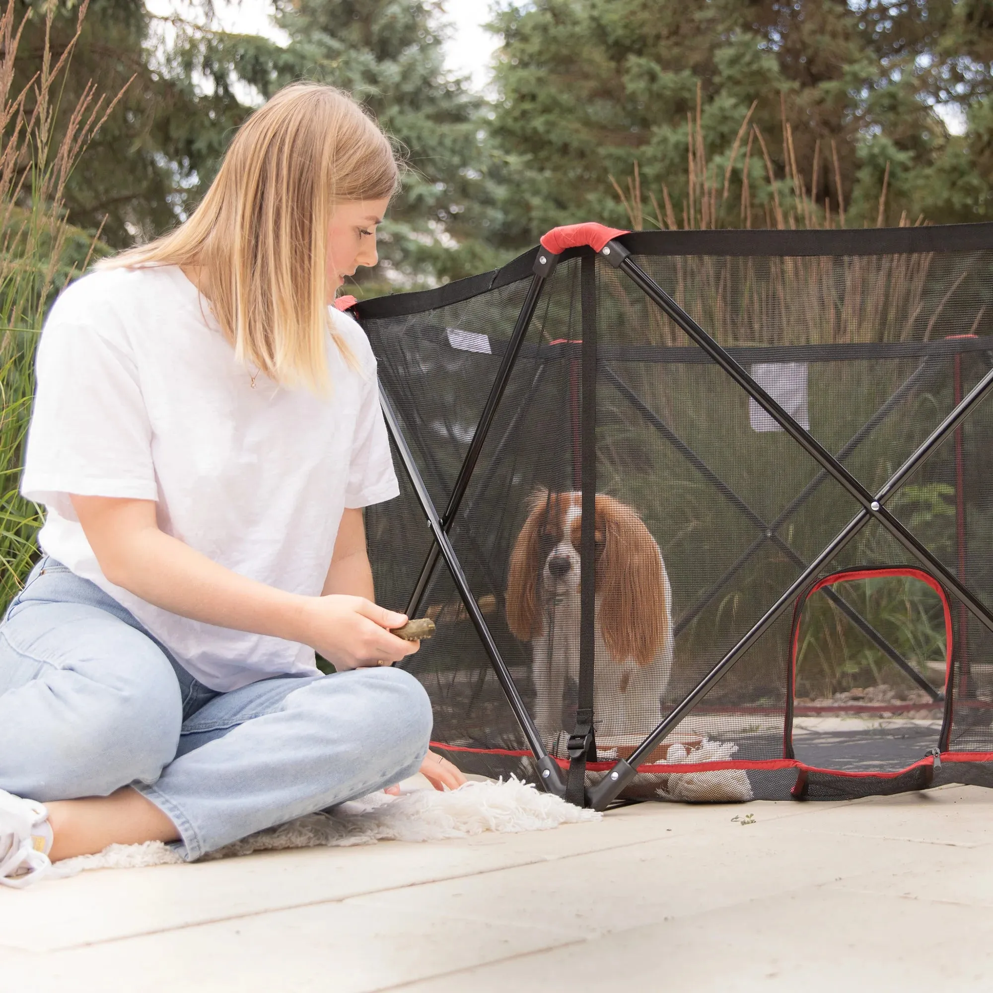 Portable Pet Pen