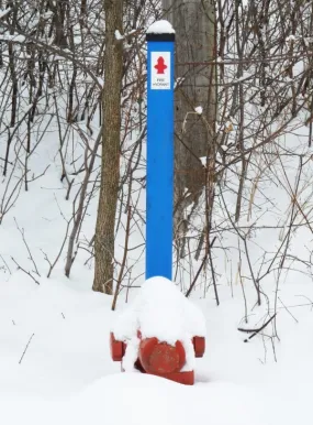 Rhino TriView Fire Hydrant Marker Posts