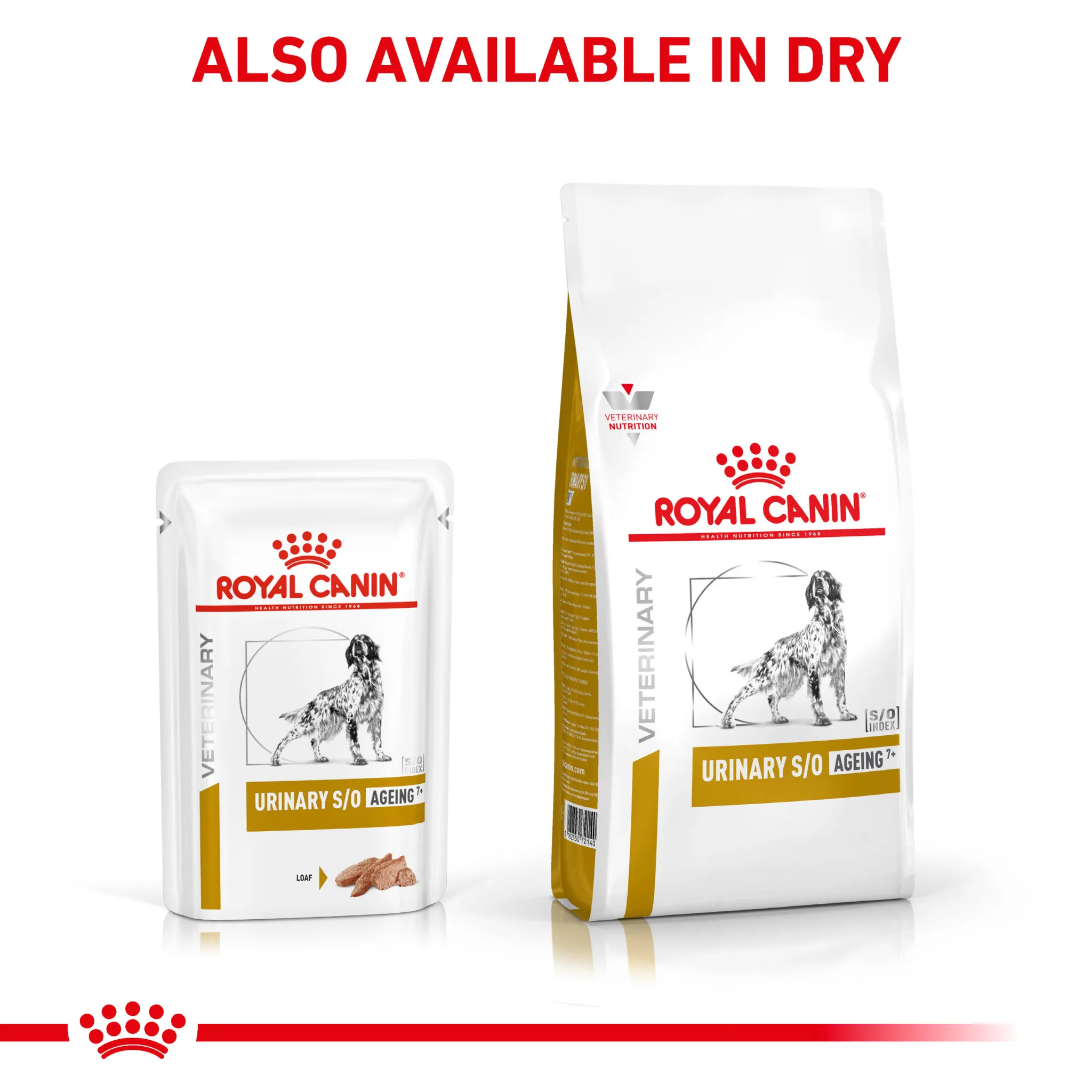 ROYAL CANIN® Canine Urinary S/O Ageing 7  Loaf Wet Dog Food